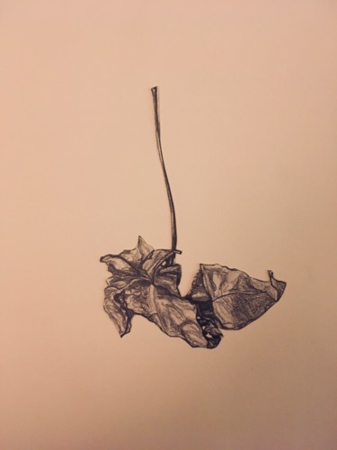 Dessin intitulée "Feuilles. Planche 3…" par Victoria, Œuvre d'art originale, Crayon