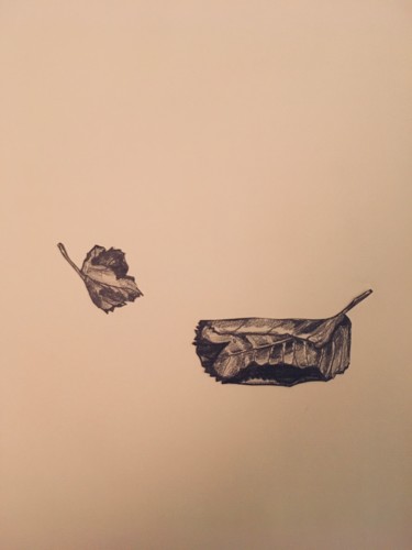 Drawing titled "Feuilles. Planche 4…" by Victoria, Original Artwork, Pencil