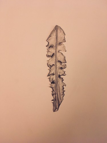 Zeichnungen mit dem Titel "Feuilles. Planche 6…" von Victoria, Original-Kunstwerk, Bleistift