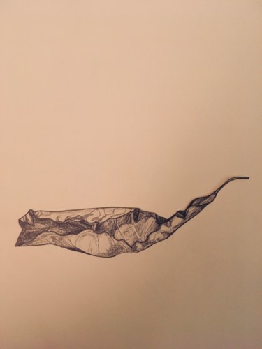 Drawing titled "Feuilles. Planche 8…" by Victoria, Original Artwork, Pencil