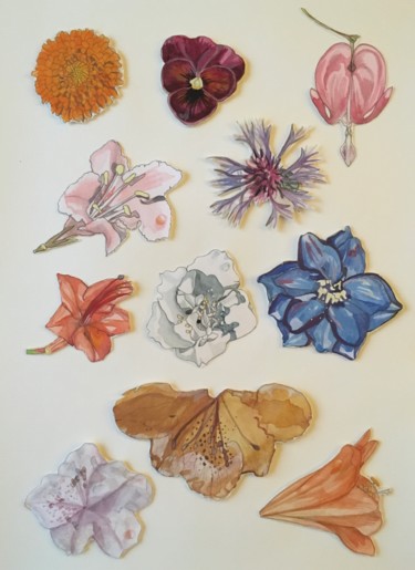 Картина под названием "Herbier. Fleurs de…" - Victoria, Подлинное произведение искусства, Акварель