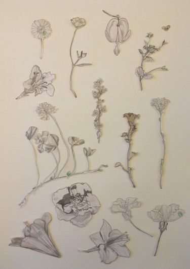 Desenho intitulada "Herbier. Fleurs." por Victoria, Obras de arte originais, Lápis