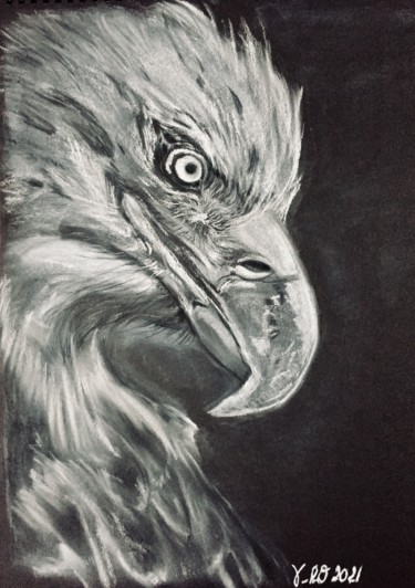 Schilderij getiteld "Eagle 1" door Veronique Blaevoet, Origineel Kunstwerk, Pastel