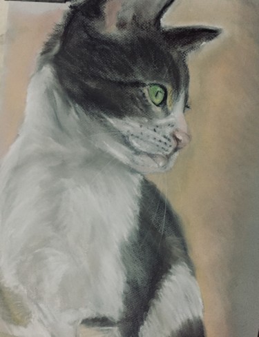 Schilderij getiteld "Mon chat" door Veronique Blaevoet, Origineel Kunstwerk, Pastel