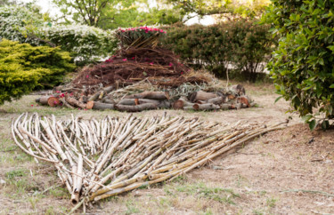 Installation intitulée "La flèche de cannes" par Véronique Brill, Œuvre d'art originale, Installation d'art