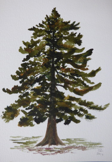 Malerei mit dem Titel "Study of a tree, Bo…" von Véronique Crombé, Original-Kunstwerk, Aquarell