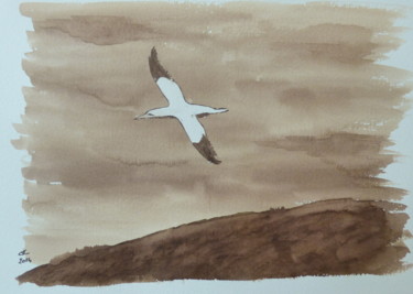 Peinture intitulée "The flying gannet" par Véronique Crombé, Œuvre d'art originale, Encre