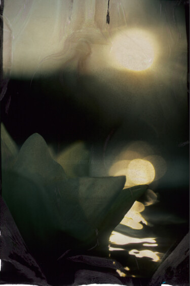 Fotografia intitulada "Après le feu - L'or…" por Véronique Durruty, Obras de arte originais, Fotografia de filme