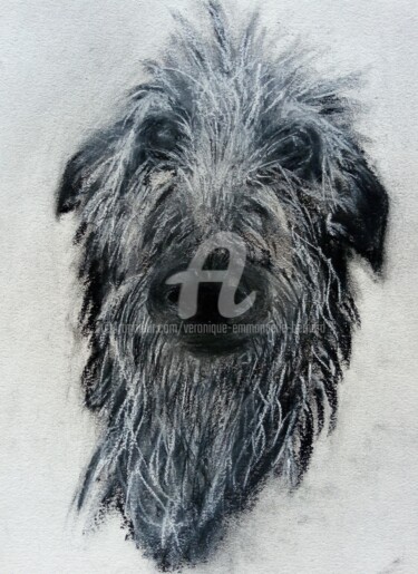 绘画 标题为“Le chien” 由Véronique Emmanuelle Bernard, 原创艺术品, 粉彩