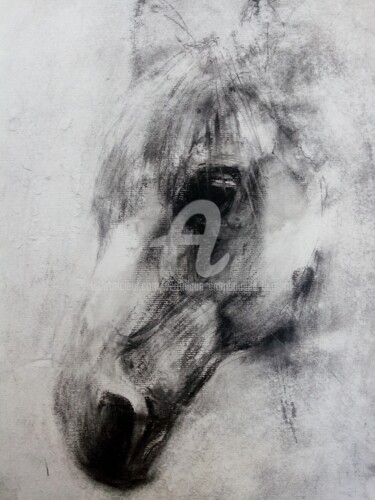 Drawing titled "Cheval  Camargue Lo…" by Véronique Emmanuelle Bernard, Original Artwork, Charcoal