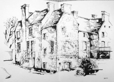 Dessin intitulée "Manoir de Hainnevil…" par Veronique Gaudin, Œuvre d'art originale, Encre