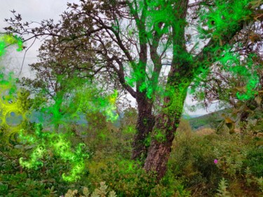 Photographie intitulée "Orage" par Véronique Jaques, Œuvre d'art originale, Photographie numérique