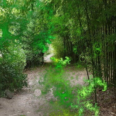 Фотография под названием "Le chemin" - Véronique Jaques, Подлинное произведение искусства, Цифровая фотография