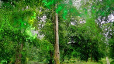 Fotografia zatytułowany „Equilibre” autorstwa Véronique Jaques, Oryginalna praca, Kolaż cyfrowy