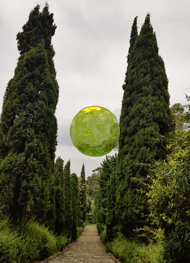 Photographie intitulée "La belle verte" par Véronique Jaques, Œuvre d'art originale, Photographie numérique