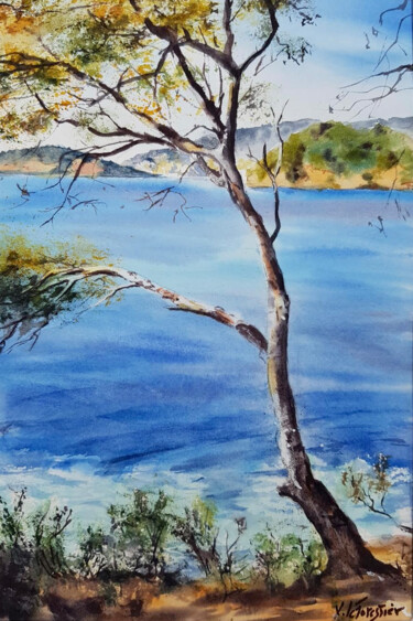 Painting titled "Pin au Rayol" by Véronique Le Forestier, Original Artwork, Watercolor