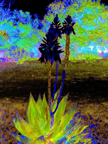 Photographie intitulée "palme-bleue.jpg" par La Fabrique D'Images Véronique Lutz, Œuvre d'art originale