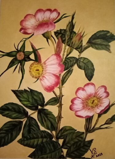 Peinture intitulée "Fleur d'eglantine" par Véronique Nelly Schirer, Œuvre d'art originale, Acrylique