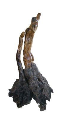 Sculpture intitulée "Les racines de la t…" par Véronique Bellot, Œuvre d'art originale, Bois