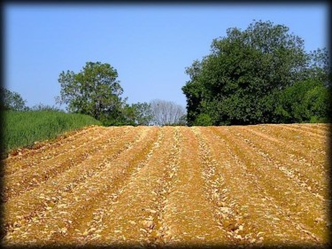 Photography titled "Les labours" by Veroo, Original Artwork