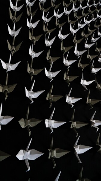 Φωτογραφία με τίτλο "Origami Extinction…" από Vethan Sautour, Αυθεντικά έργα τέχνης, Ψηφιακή φωτογραφία Τοποθετήθηκε στο Ξύλ…