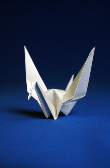 "Origami Extinction…" başlıklı Fotoğraf Vethan Sautour tarafından, Orijinal sanat, Dijital Fotoğrafçılık Ahşap panel üzerine…