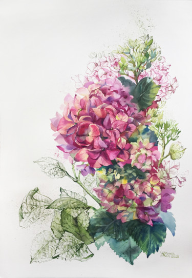 Painting titled "Hydrangea" by Natalia Veyner, Original Artwork, Watercolor