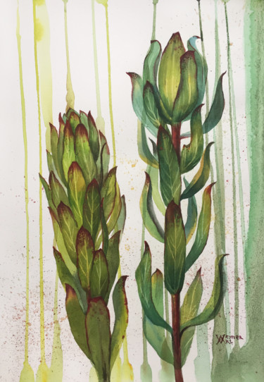 Malerei mit dem Titel "Leucadendron flower…" von Natalia Veyner, Original-Kunstwerk, Aquarell