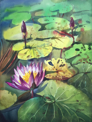 Painting titled "Lotus. Water lily.…" by Natalia Veyner, Original Artwork, Watercolor