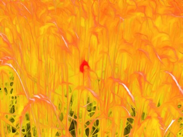 Digital Arts titled "A lone Poppy in the…" by Viajacobi, Original Artwork, Digital Painting