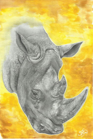 Dessin intitulée "Rhino.jpg" par Vicente Menezes, Œuvre d'art originale, Graphite