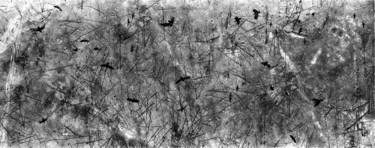 Photographie intitulée "crowsaboveburntfore…" par Victor Stepanow, Œuvre d'art originale