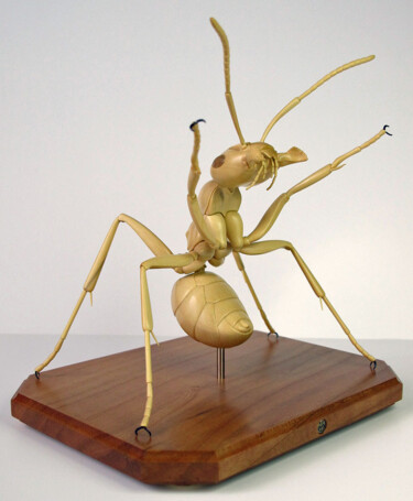 Skulptur mit dem Titel "Ant" von Victor Utcin, Original-Kunstwerk, Holz