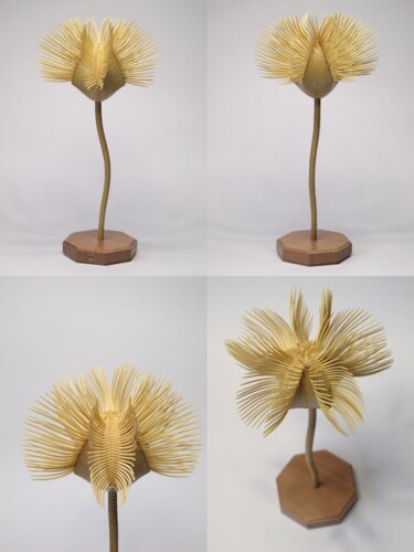 Sculpture titled "Blastoidea" by Victor Utcin, Original Artwork, Wood