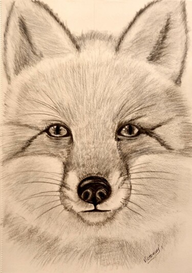 Malerei mit dem Titel "Foxy eyes" von Victoria Art, Original-Kunstwerk, Kohle