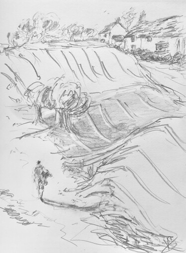 Drawing titled "Fields." by Victoria General, Original Artwork, Pencil