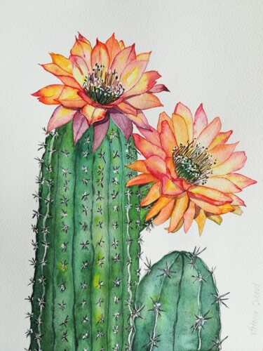 Malarstwo zatytułowany „Cactus” autorstwa Victoria Girerd, Oryginalna praca, Akwarela