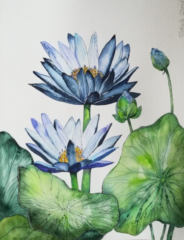 Painting titled "Lotus bleu" by Victoria Girerd, Original Artwork, Watercolor