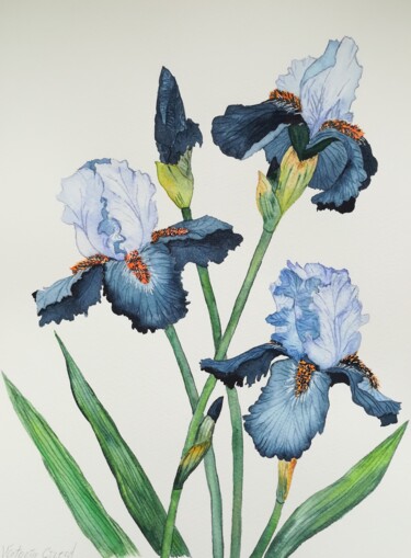 Painting titled "Iris" by Victoria Girerd, Original Artwork, Watercolor