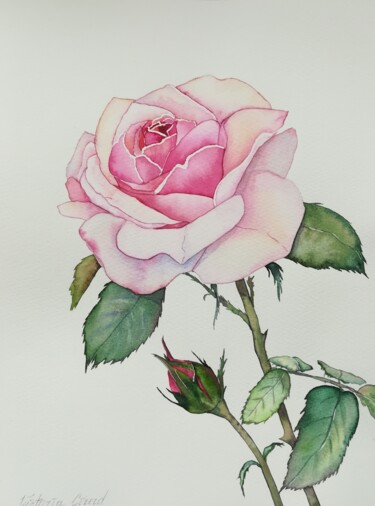 Painting titled "Rose" by Victoria Girerd, Original Artwork, Watercolor