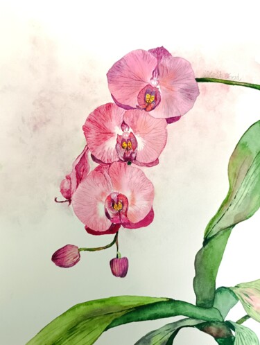 绘画 标题为“L’orchidée” 由Victoria Girerd, 原创艺术品, 水彩