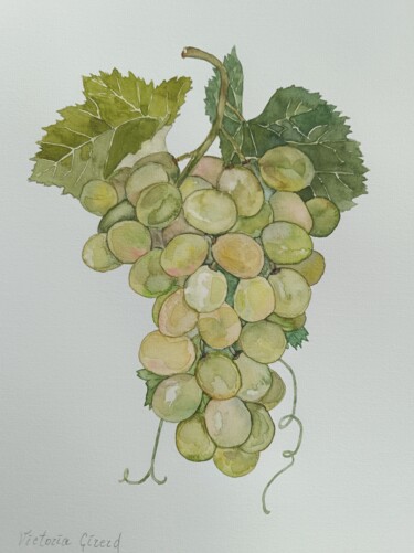 Painting titled "Le Raisin blanc" by Victoria Girerd, Original Artwork, Watercolor