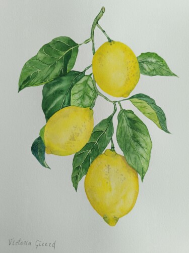 Painting titled "Branche de Citrons,…" by Victoria Girerd, Original Artwork, Watercolor