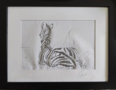 Desenho intitulada "Ebauche de zèbre su…" por Victoria Lohay, Obras de arte originais, Lápis