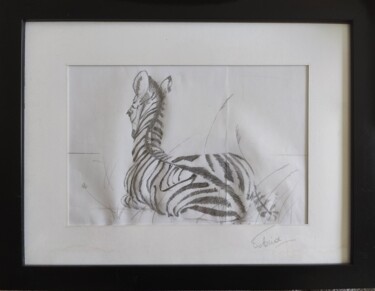 Drawing titled "Ebauche de zèbre su…" by Victoria Lohay, Original Artwork, Pencil