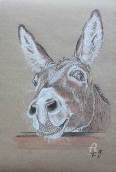 Zeichnungen mit dem Titel "Esel" von Victoria Richters, Original-Kunstwerk, Conté-Buntstifte