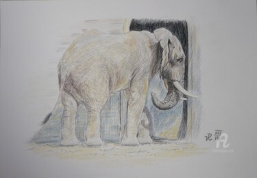 Zeichnungen mit dem Titel "Elefant" von Victoria Richters, Original-Kunstwerk, Bleistift