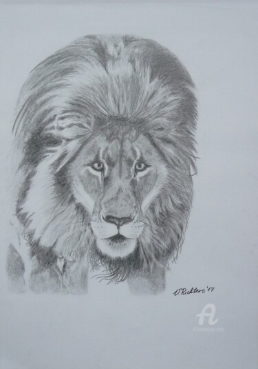 Drawing titled "Löwe" by Victoria Richters, Original Artwork, Pencil