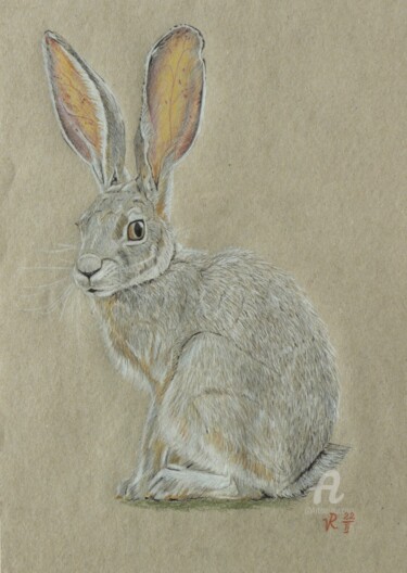 Drawing titled "Hase" by Victoria Richters, Original Artwork, Conté
