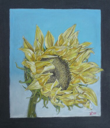 Disegno intitolato "Sonnenblume" da Victoria Richters, Opera d'arte originale, Pastello